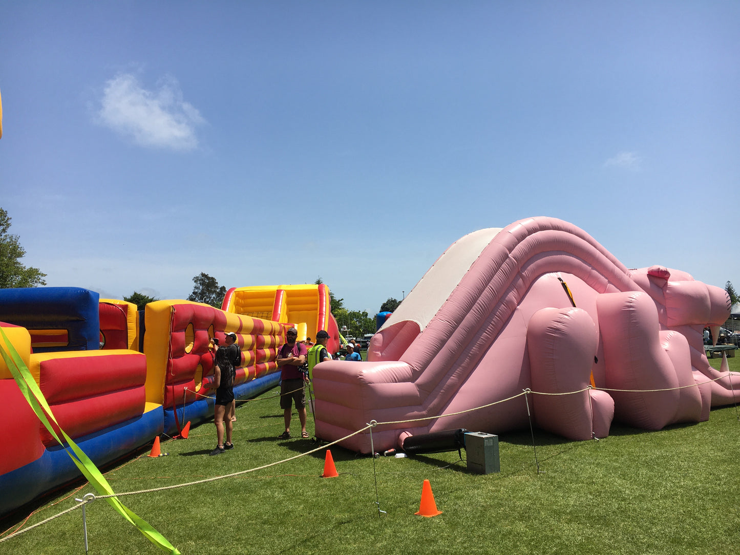 Pink Panther Slide