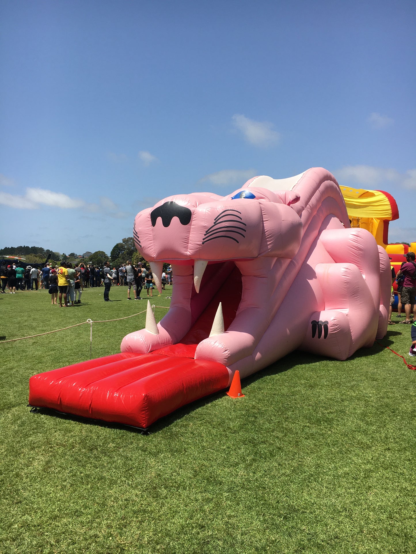 Pink Panther Slide