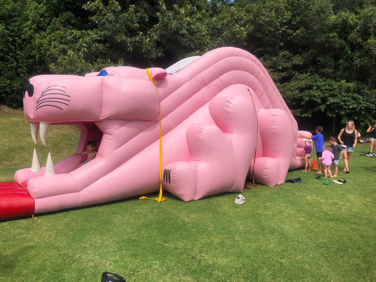 Pink Panther Slide