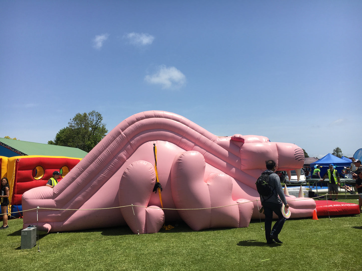 Pink Panther Slide