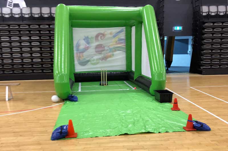 Cricket Wicket Game