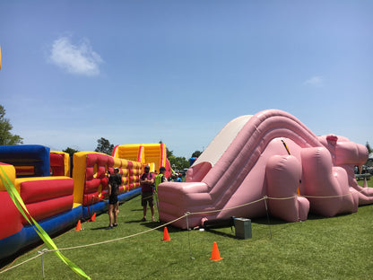 Pink Panther Slide