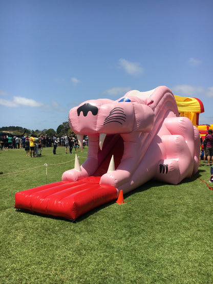 Pink Panther Slide