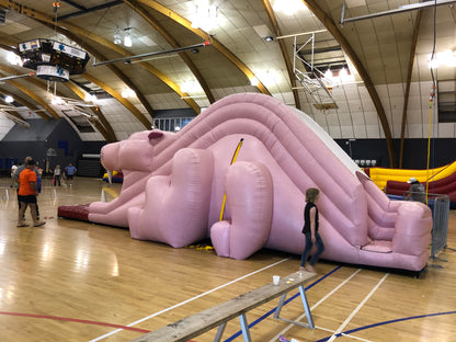 Pink Panther Slide