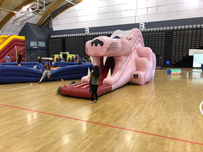 Pink Panther Slide