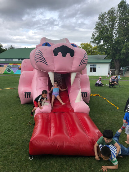 Pink Panther Slide