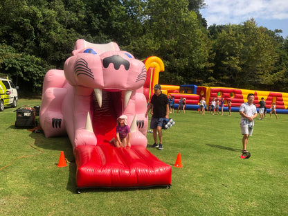 Pink Panther Slide
