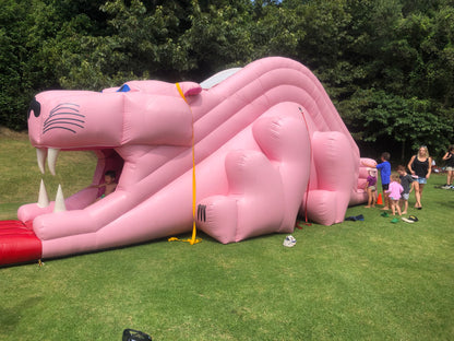 Pink Panther Slide