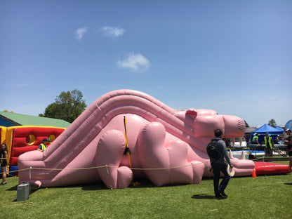 Pink Panther Slide