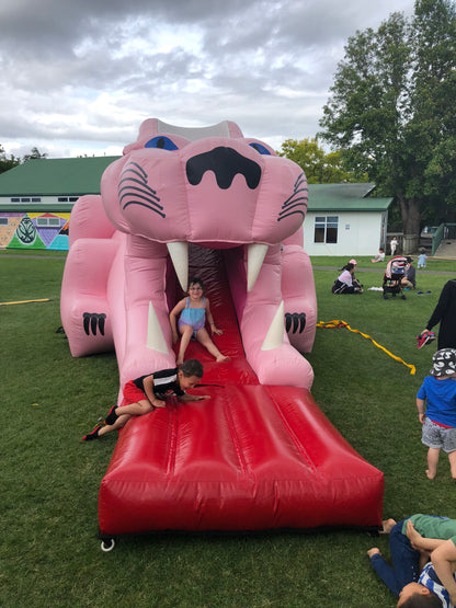 Pink Panther Slide