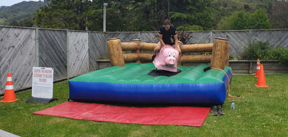 Slippery Pig